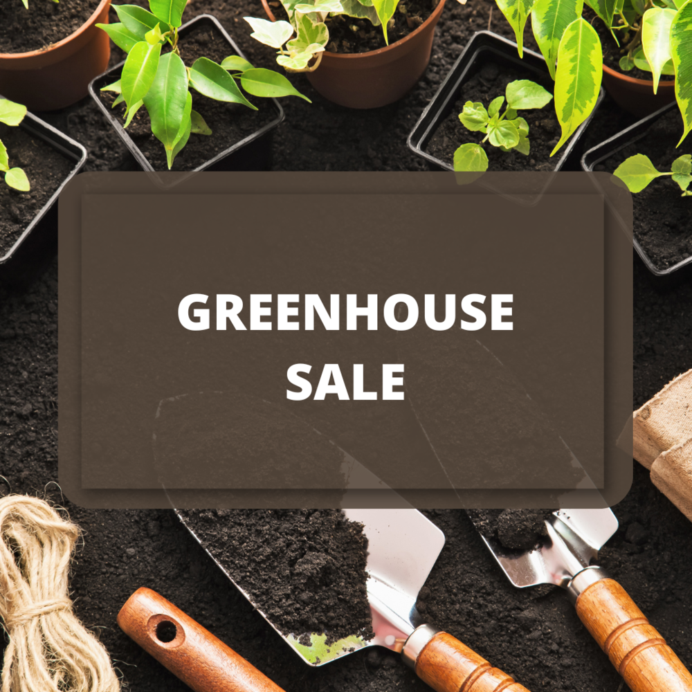 Greenhouse Sale