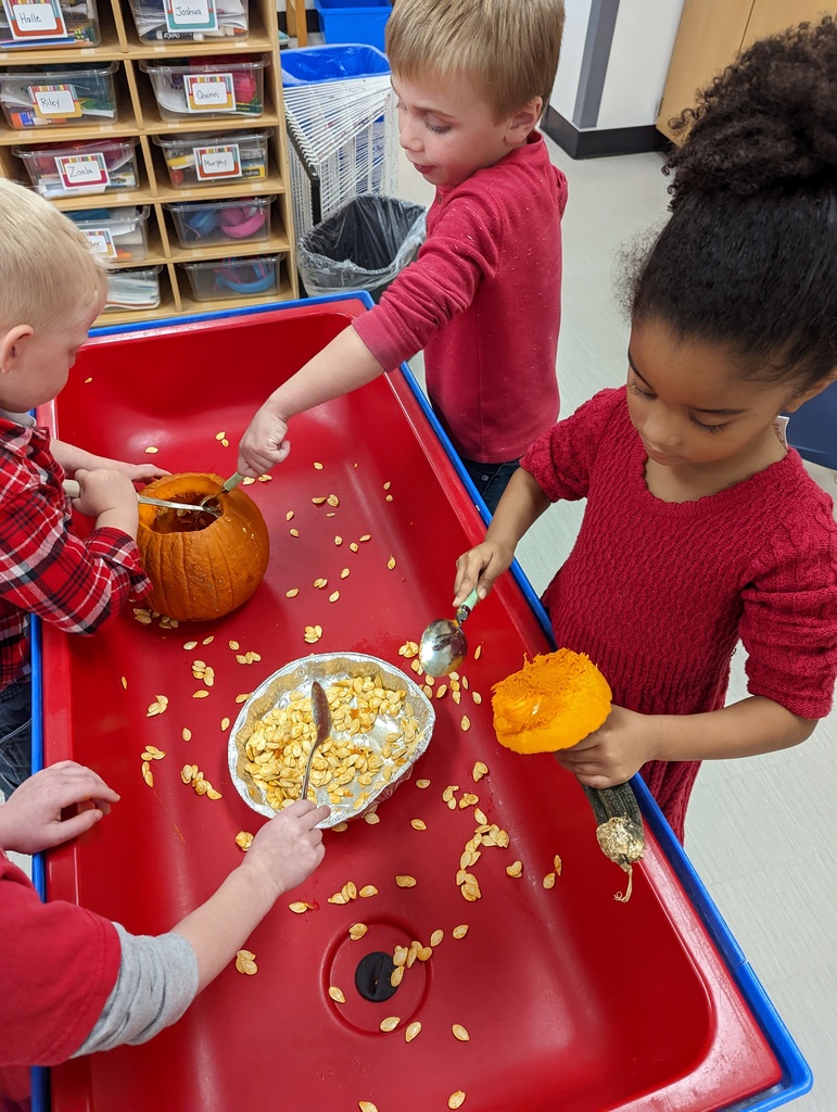 4k students analyzing a pumpkin