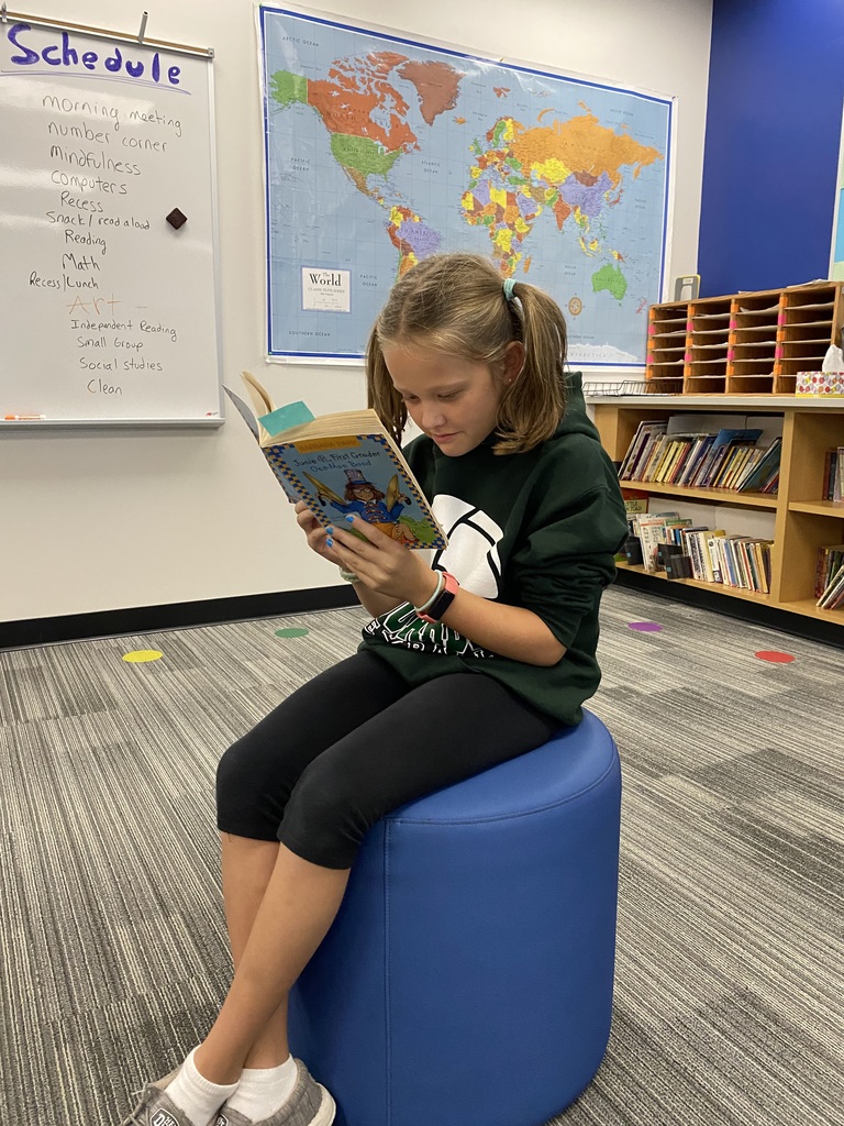 student independent reading